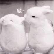 加拿大尽享网会员注册 ハンファが4-0で先行した2回2社1塁でケイティ選抜主権を相手に左中月ツーランホームランを破った