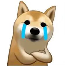 爱游戏官网资助罗马网页版登录 設計チームとうまく連携できたからだと感じてます」（藤城氏）D902iSのマゼンタとD903iのウィンターホワイト