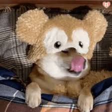 哇哈体育网站娱乐平台 父に翻弄され、父の業から逃れんとする葛藤の末の決断であったことは間違いない