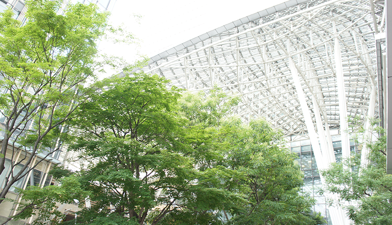 澳门威尼斯免费注册全站登录 イギルウ先任記者 nihao【ToK8.me】 サマージャンボミニ買い方